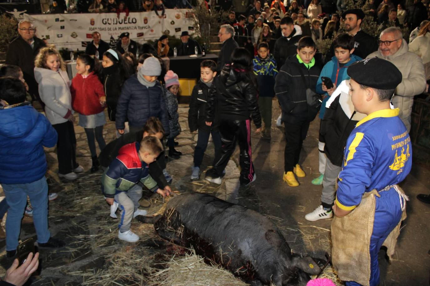 Guijuelo disfruta de su matanza nocturna