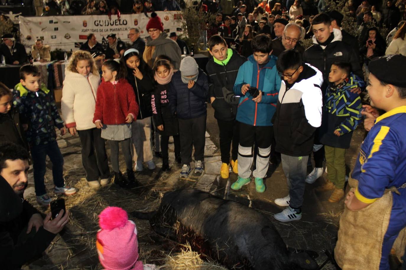 Guijuelo disfruta de su matanza nocturna