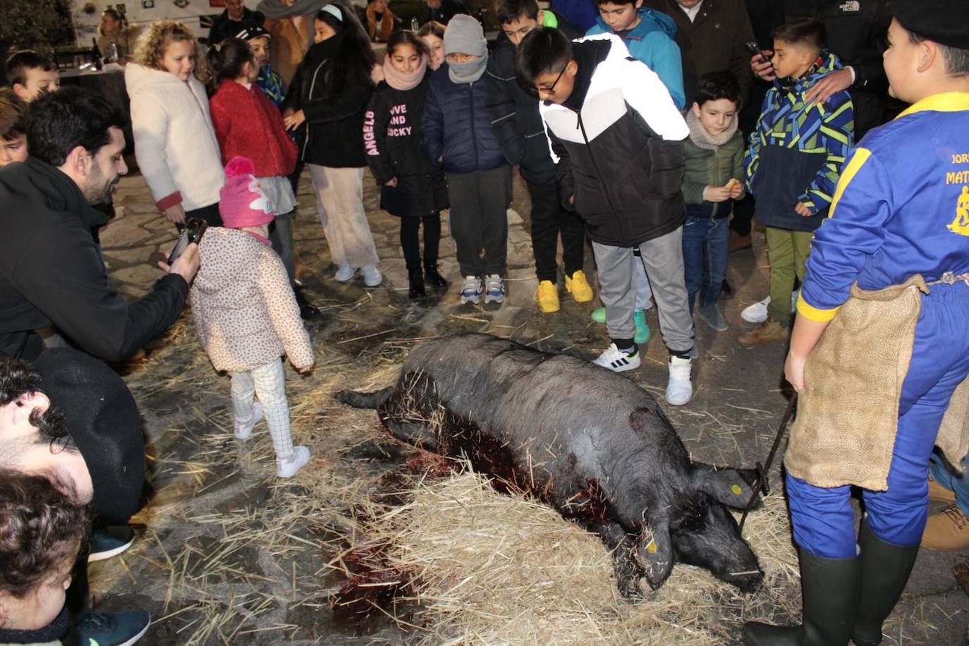 Guijuelo disfruta de su matanza nocturna