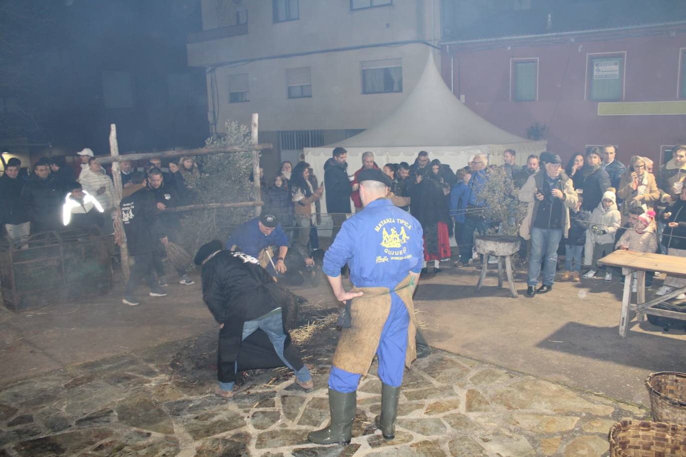 Guijuelo disfruta de su matanza nocturna