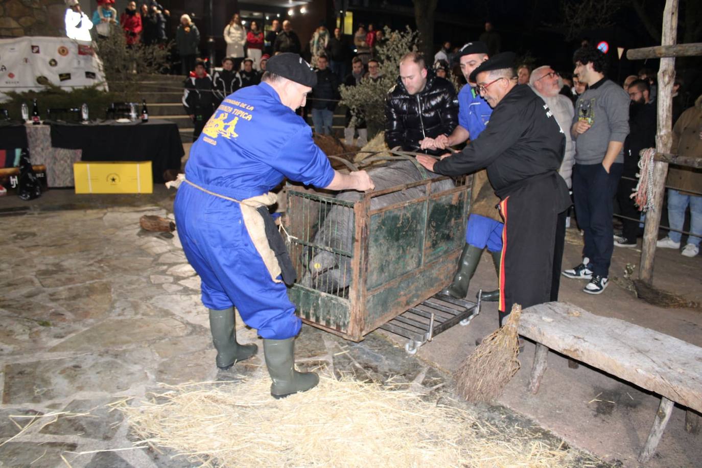 Guijuelo disfruta de su matanza nocturna