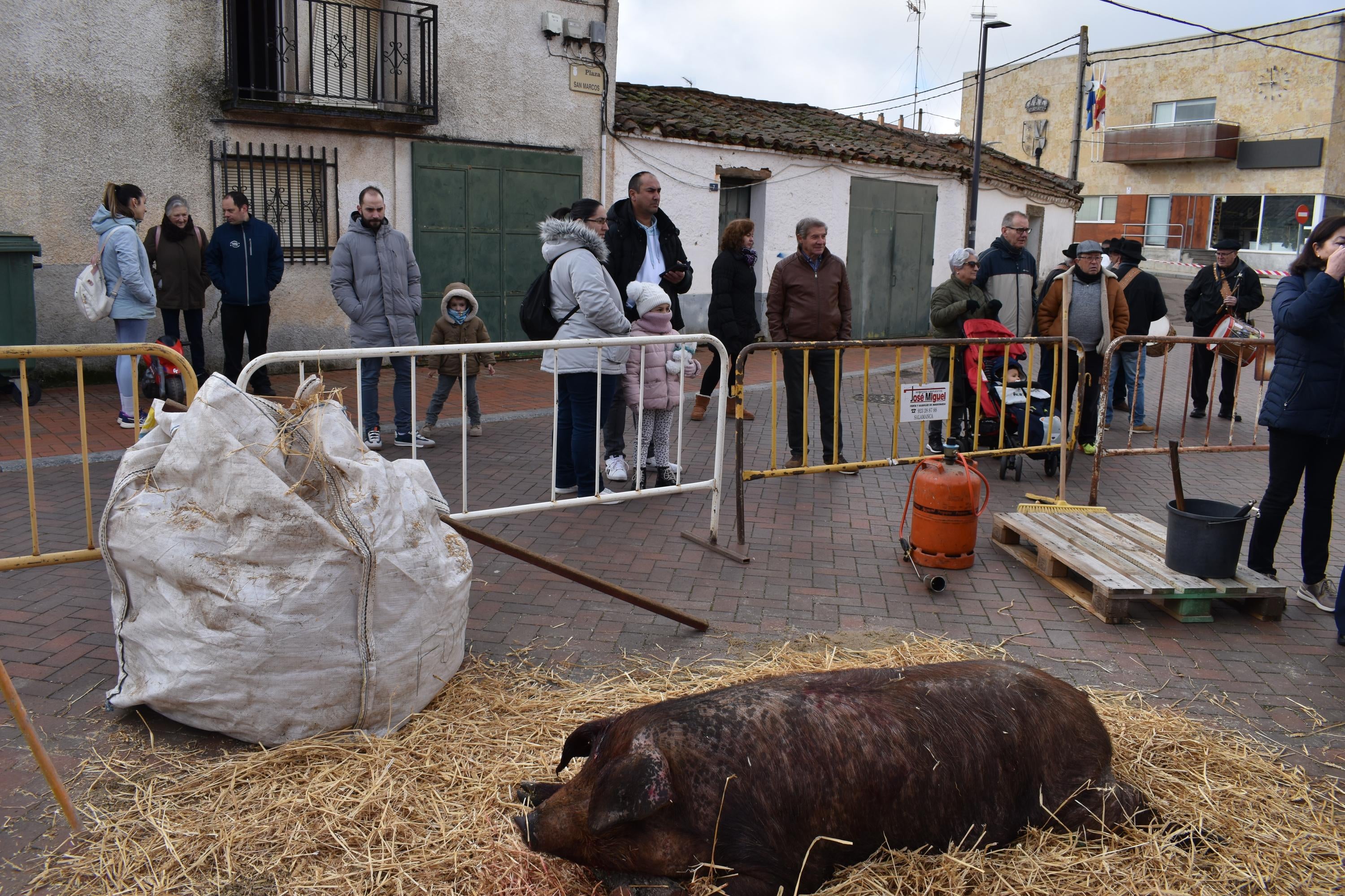 Convivencia, tradición y buen yantar en la matanza de Doñinos