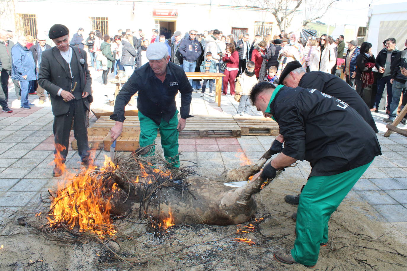 La Tala disfruta de un nuevo lleno en su segunda matanza tradicional