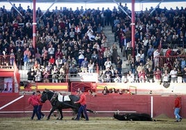 Vuelta al ruedo al toro Vichanero esta tarde en Valdemorillo.