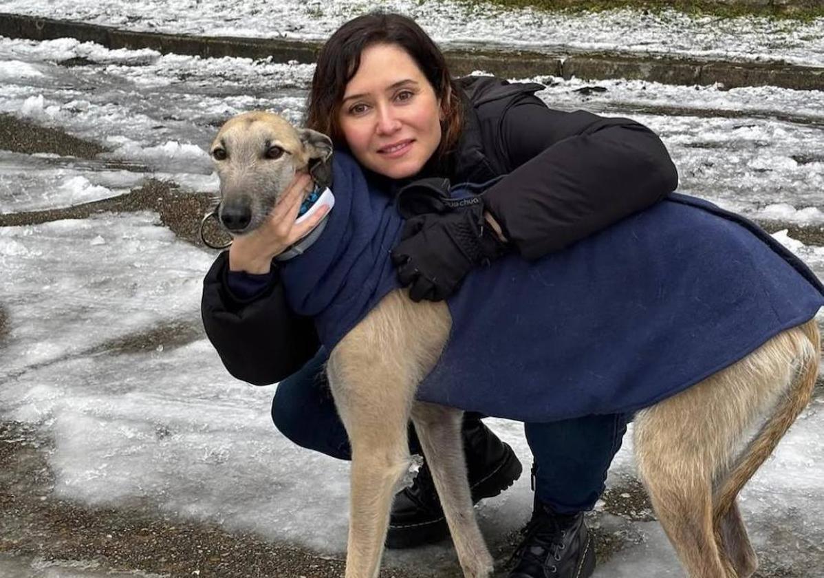 Isabel Díaz Ayuso con un perro.