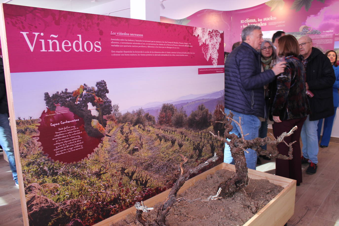 Villanueva del Conde inaugura el Centro de Interpretación del Vino