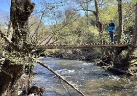 Pasarela que atraviesa el río Alagón en la Senda de los Enamorados, en Pinedas.