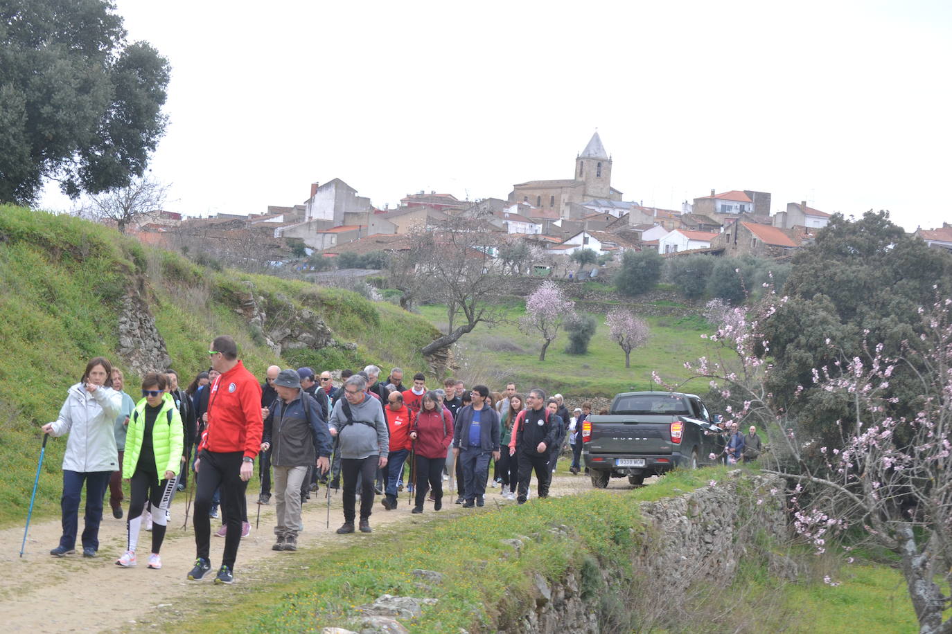 Un bello paseo entre almendros