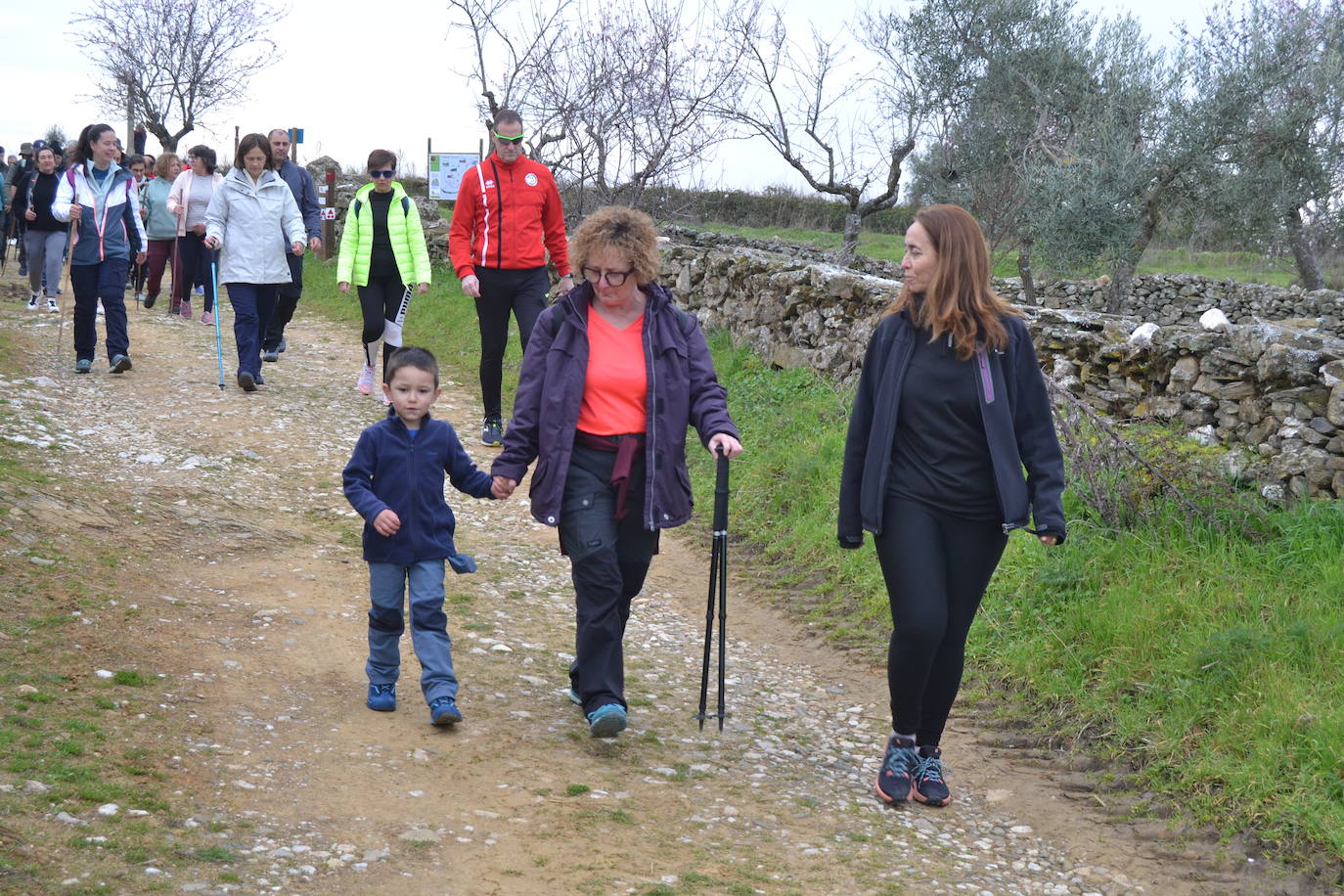 Un bello paseo entre almendros