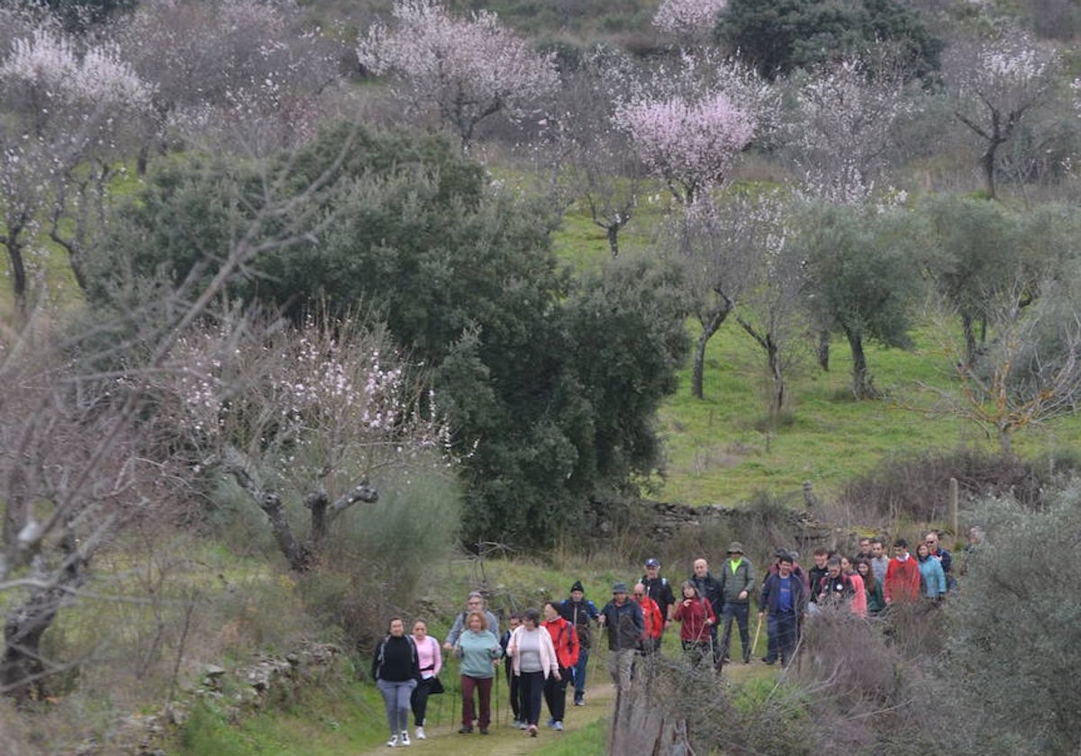 Un bello paseo entre almendros