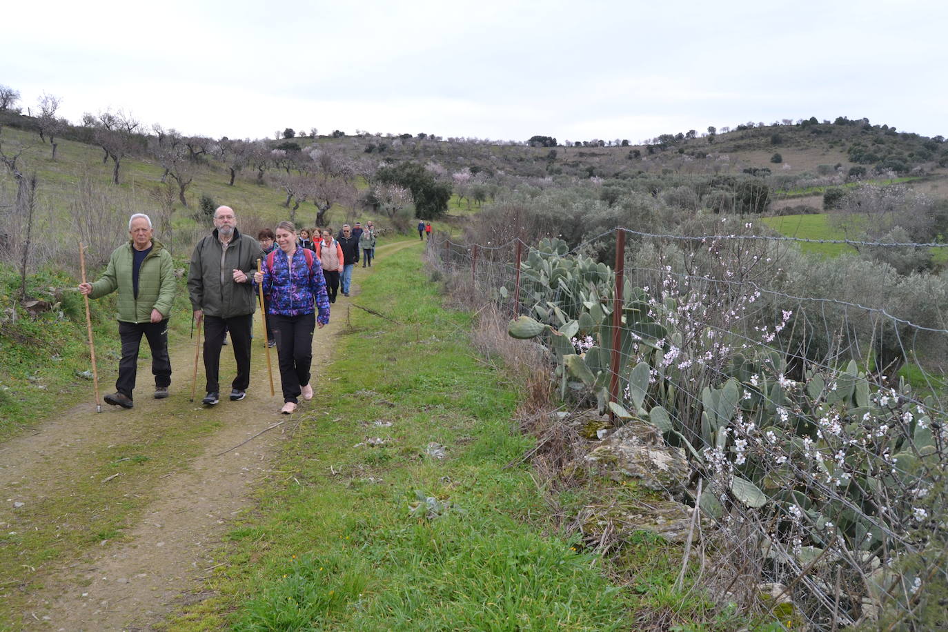 Un bello paseo entre almendros