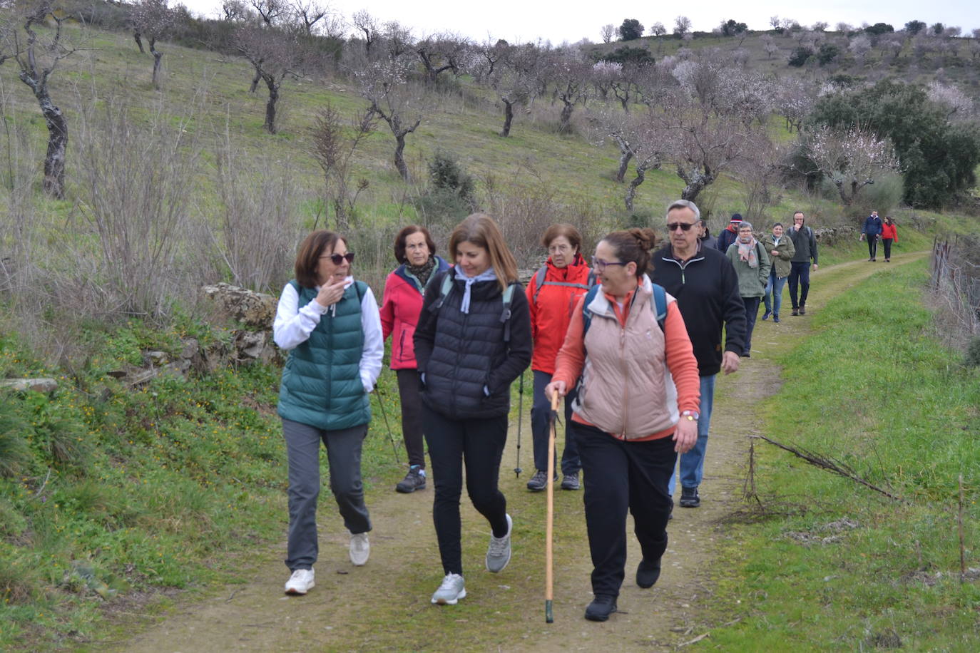 Un bello paseo entre almendros