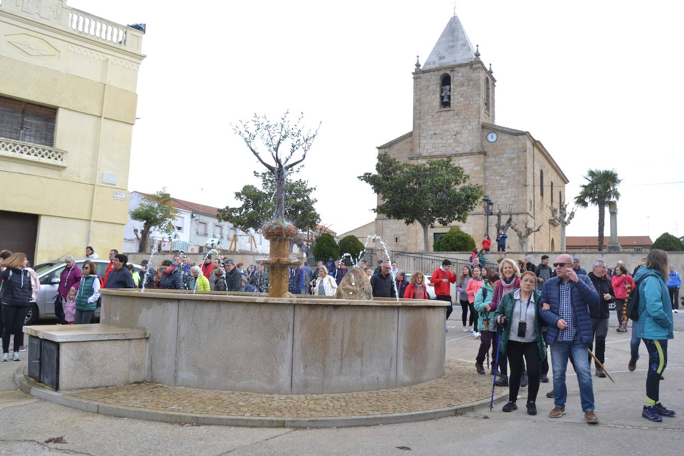 Un bello paseo entre almendros