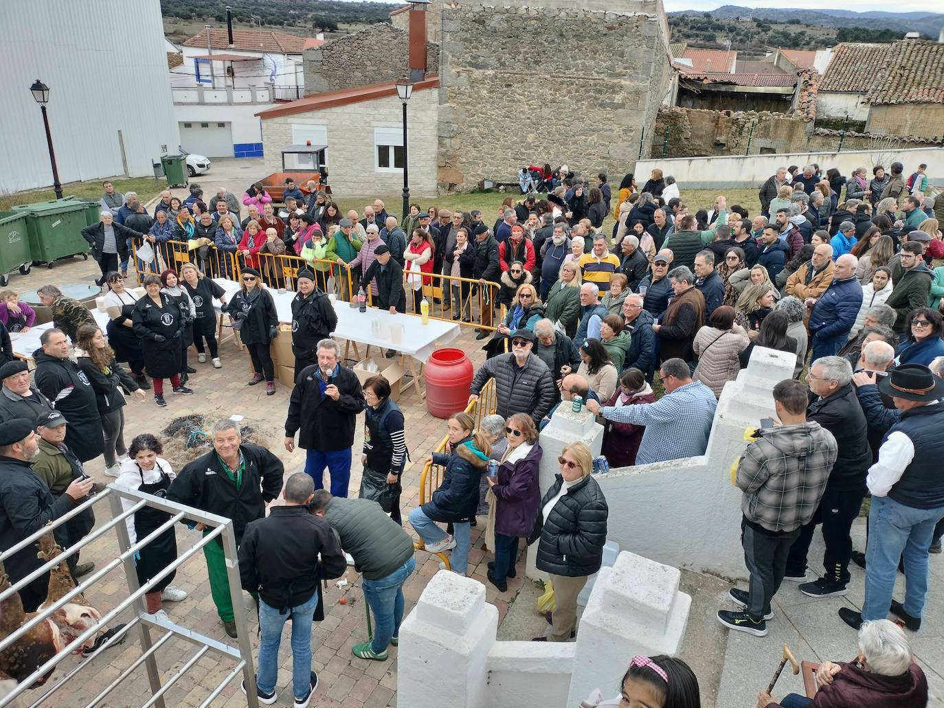 Santibáñez de Béjar disfruta de una multitudinaria fiesta de la matanza