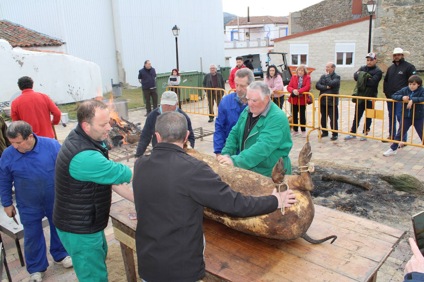 Santibáñez de Béjar disfruta de una multitudinaria fiesta de la matanza