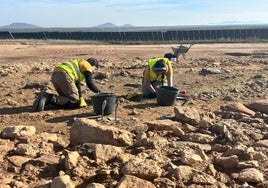 ¿Se debería traer especialistas del extranjero para cubrir las vacantes laborales?