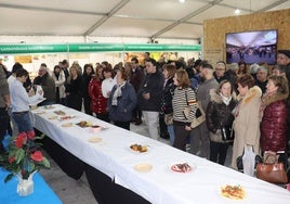 Imagen del concurso celebrado el año pasado en la carpa del Ayuntamiento.