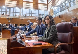 La presidenta de la Comunidad de Madrid, Isabel Díaz Ayuso.