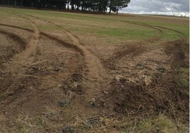 Señales del paso de los furtivos por un campo de la provincia.