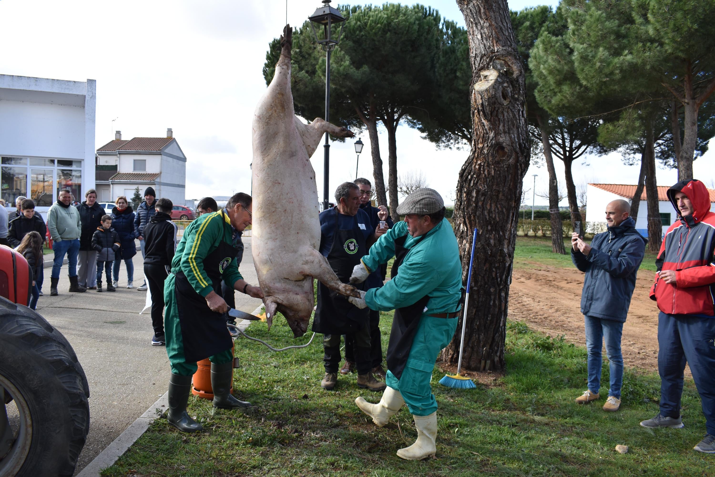 Fiesta de estreno en torno al cerdo en Nuevo Francos con más de 300 comensales