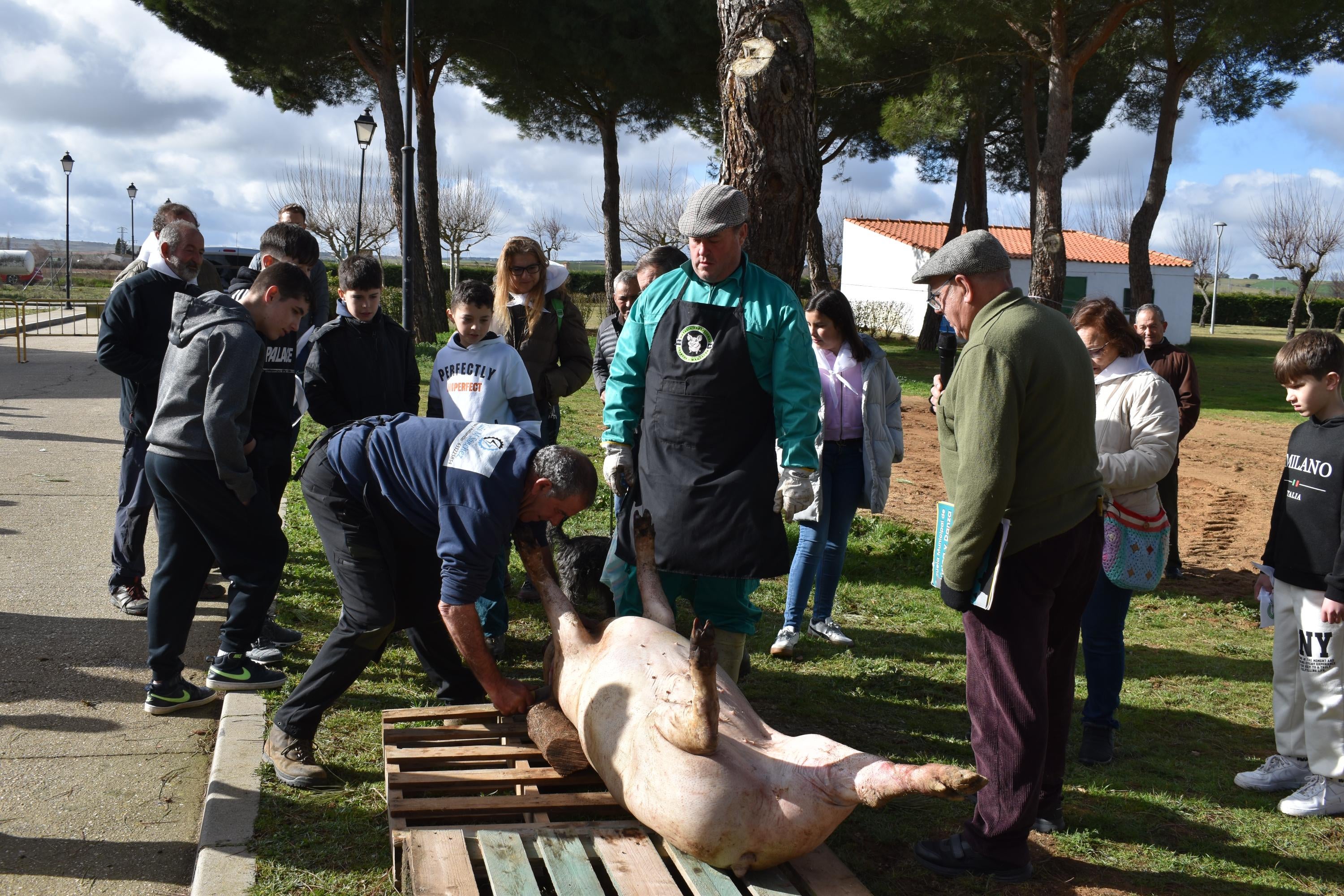 Fiesta de estreno en torno al cerdo en Nuevo Francos con más de 300 comensales