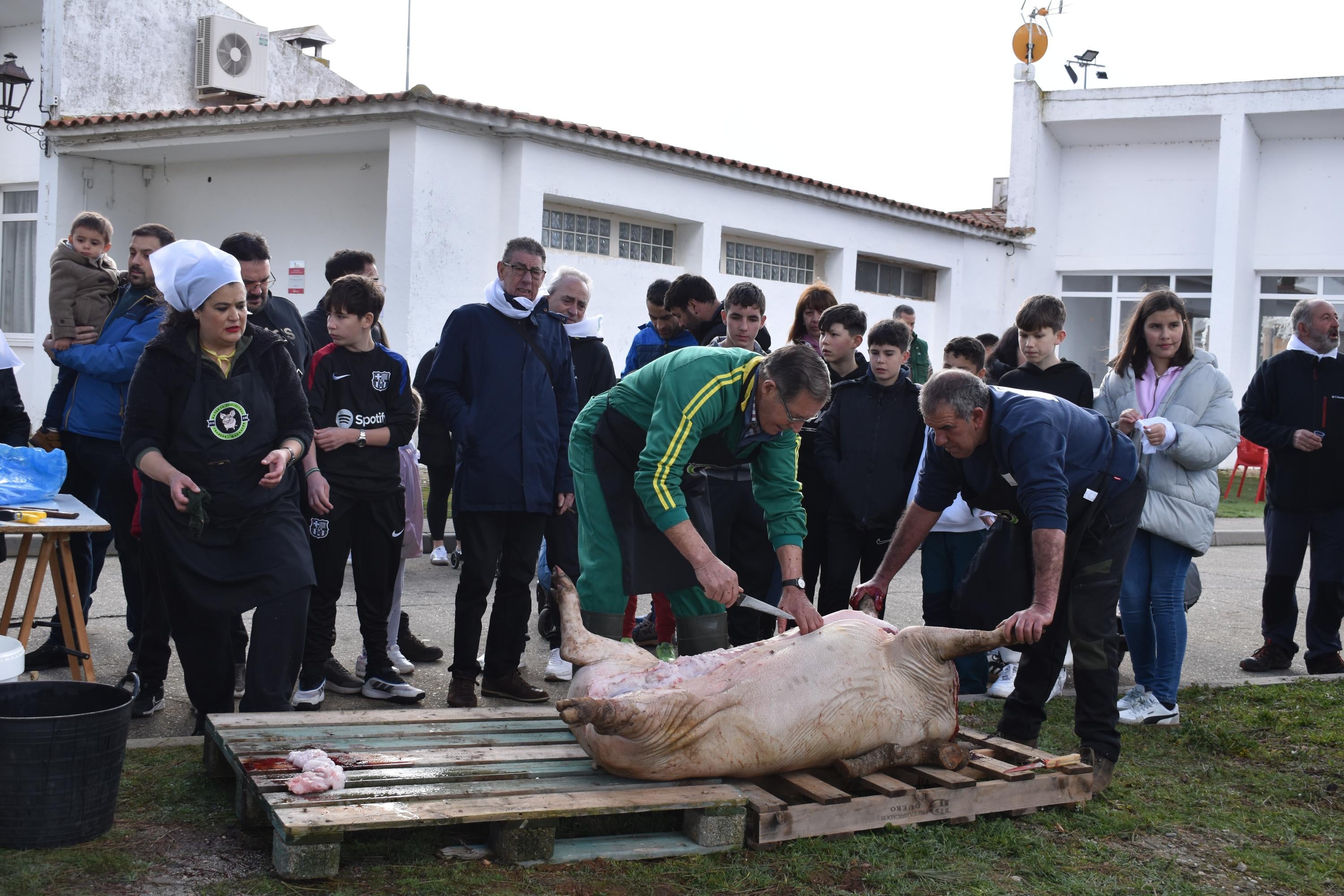 Fiesta de estreno en torno al cerdo en Nuevo Francos con más de 300 comensales