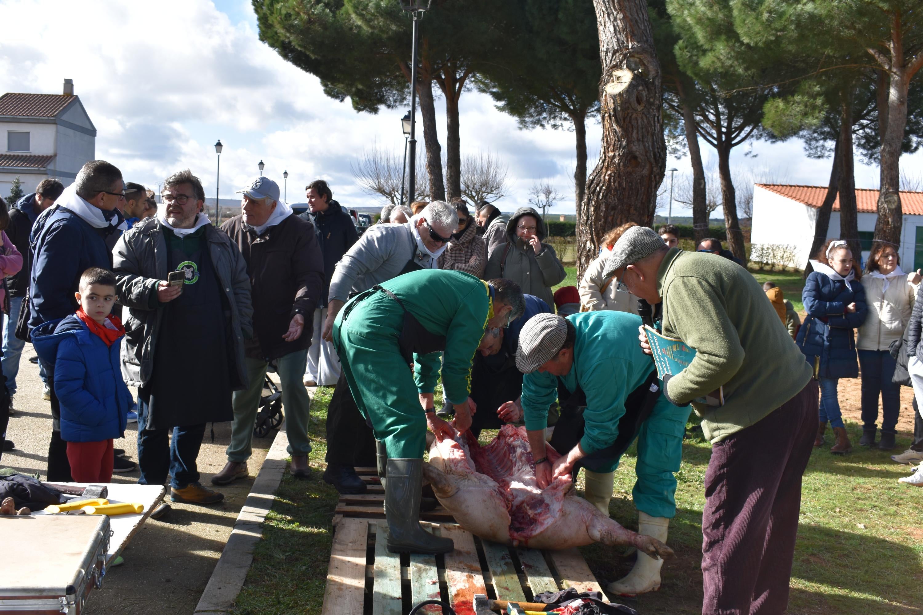 Fiesta de estreno en torno al cerdo en Nuevo Francos con más de 300 comensales