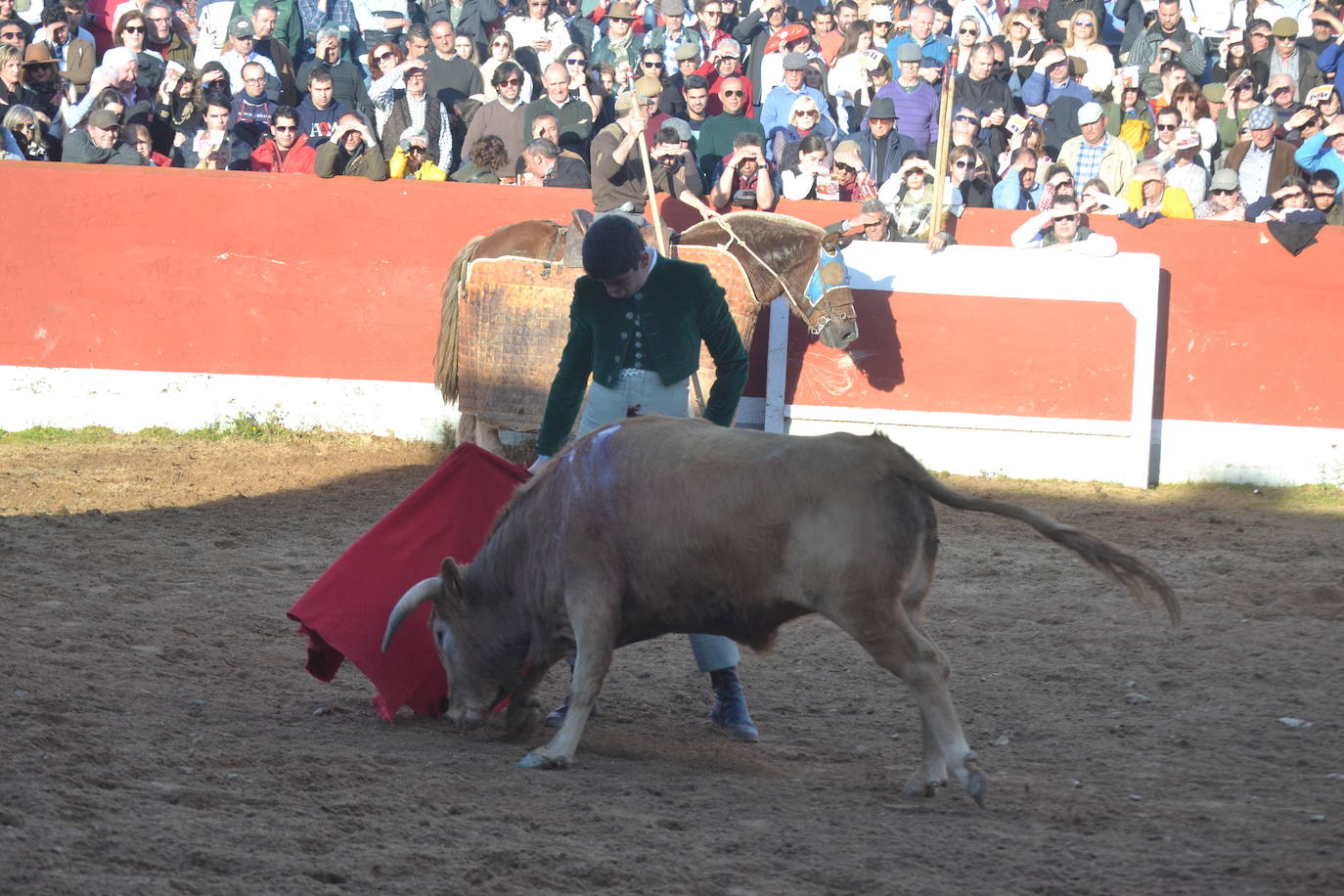 Brillante cierre final del Bolsín Taurino Mirobrigense