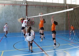 Un partido de voleibol femenino del pasado Trofeo Rector.