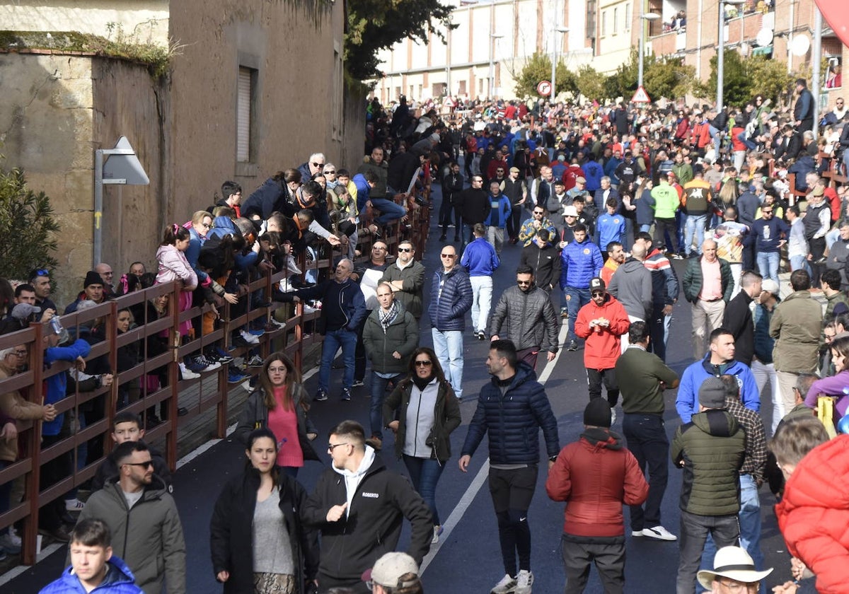 Guía práctica para disfrutar del Carnaval del Toro de Ciudad Rodrigo