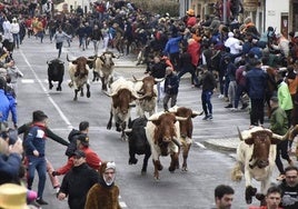 ¿Visitará Ciudad Rodrigo para disfrutar del Carnaval del Toro?