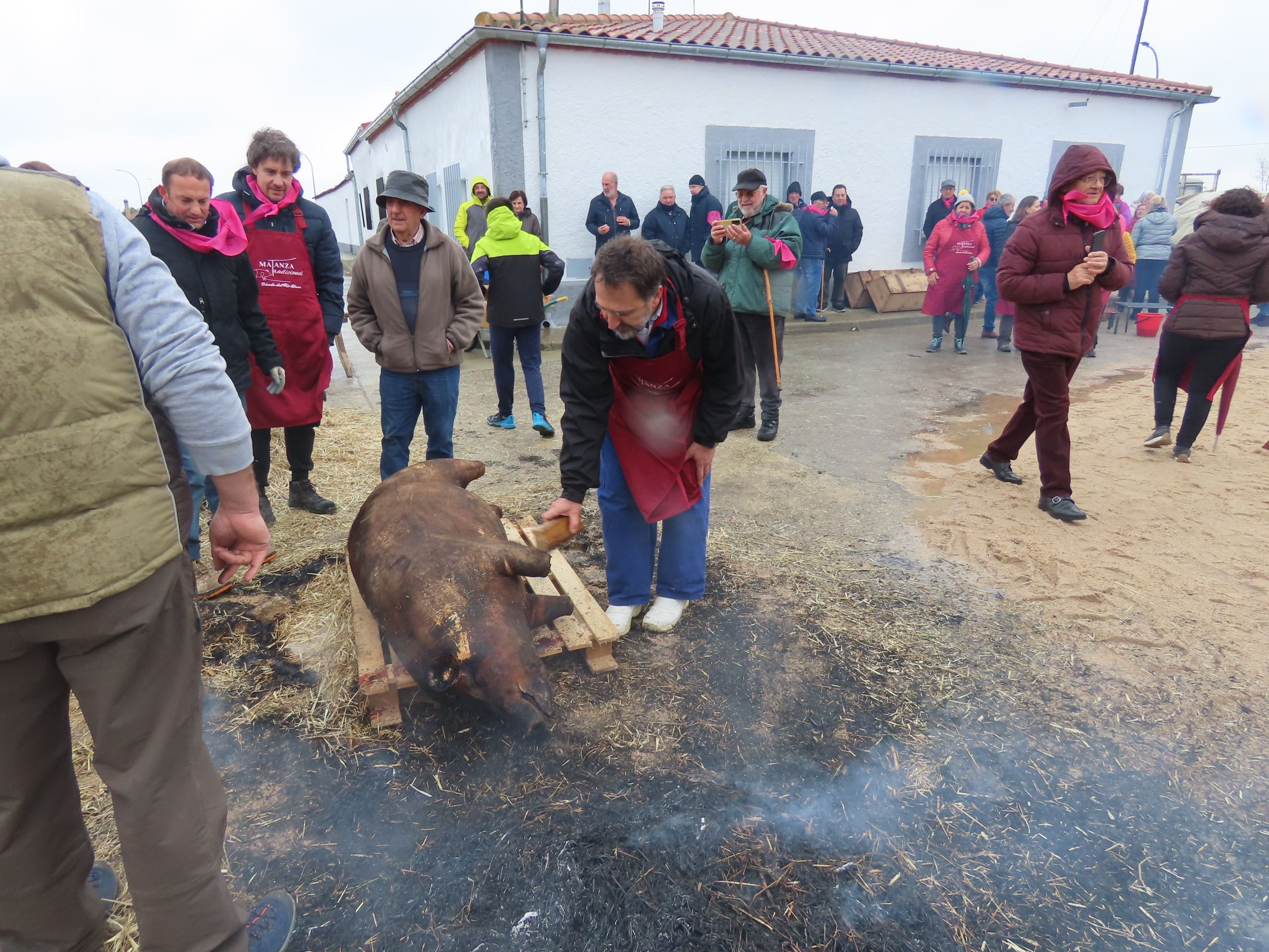 Destacada participación en la II matanza tradicional de Bóveda del Río Almar