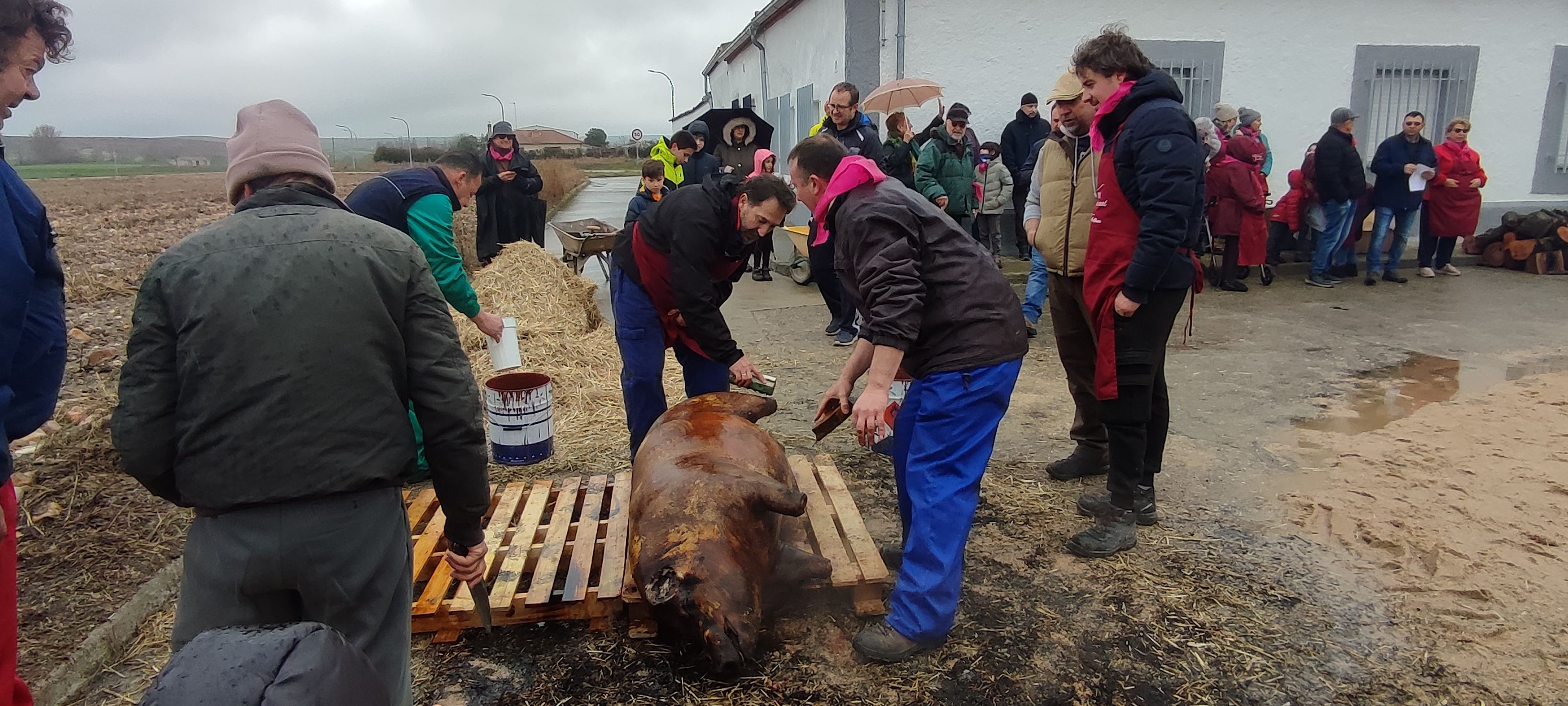 Destacada participación en la II matanza tradicional de Bóveda del Río Almar