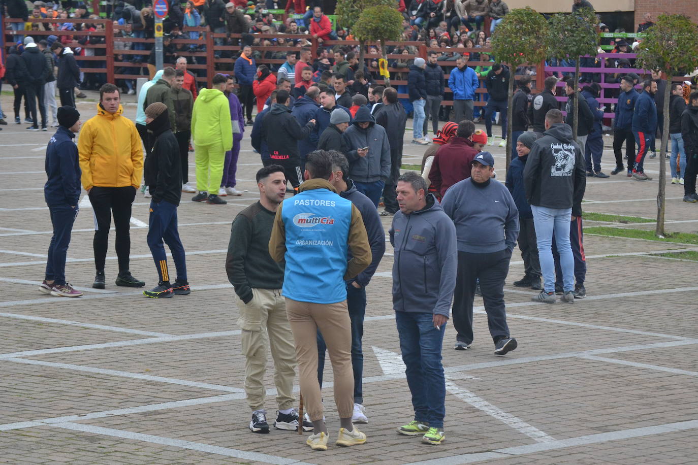 “Potrosillo” abre el Carnaval del Toro con un multitudinario festejo