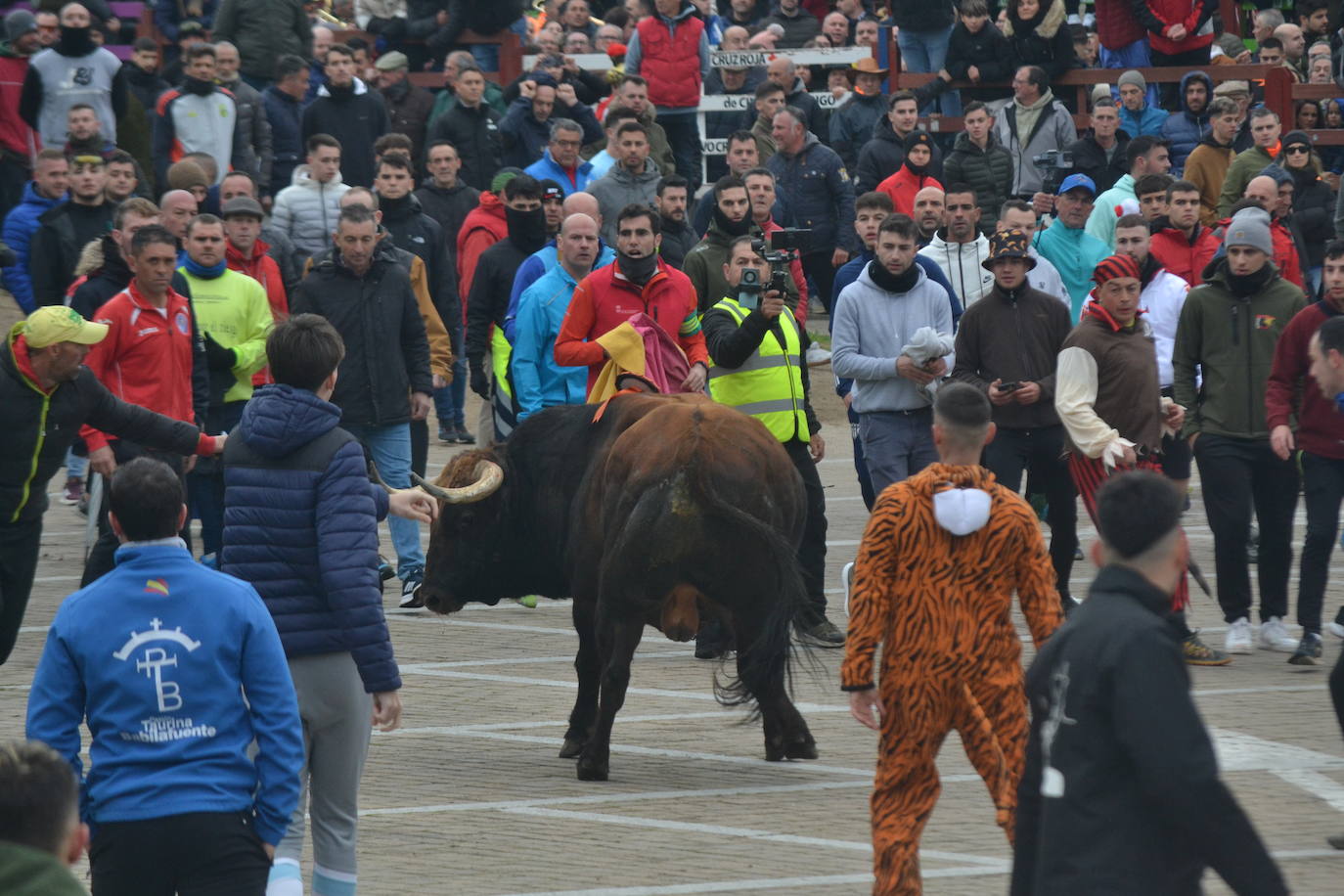 “Potrosillo” abre el Carnaval del Toro con un multitudinario festejo