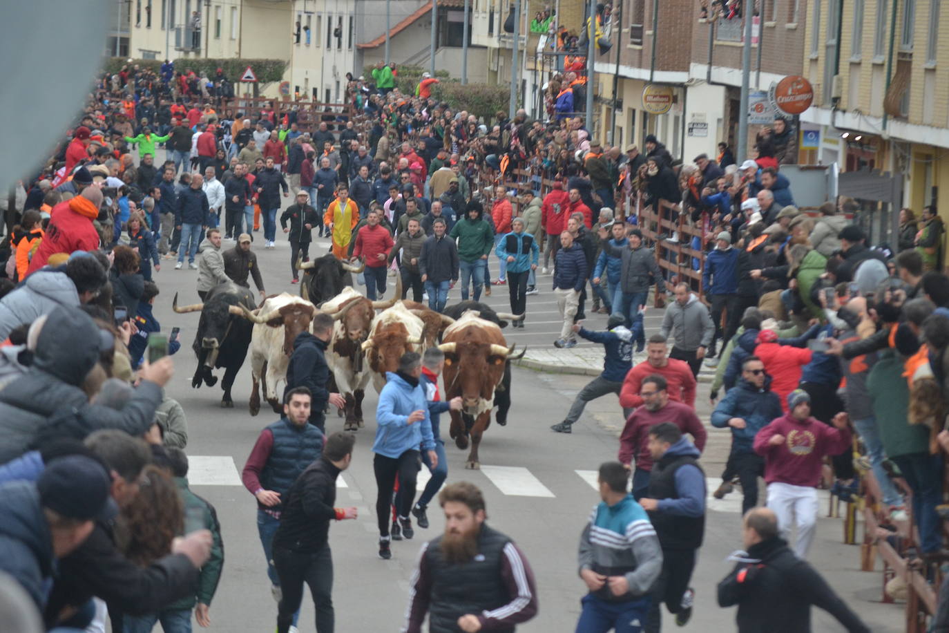 El primer encierro del Carnaval del Toro se salda con un corredor herido