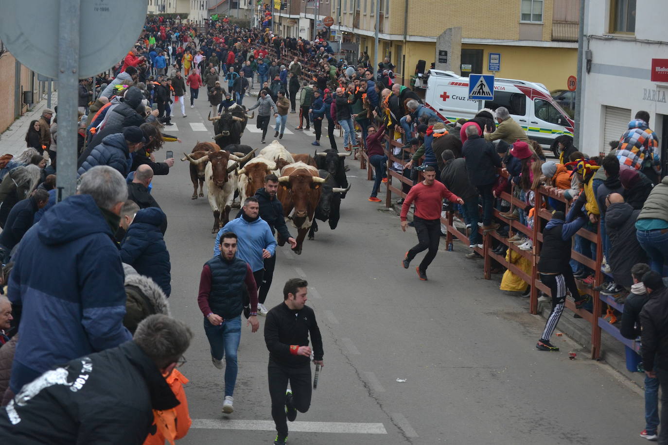 El primer encierro del Carnaval del Toro se salda con un corredor herido