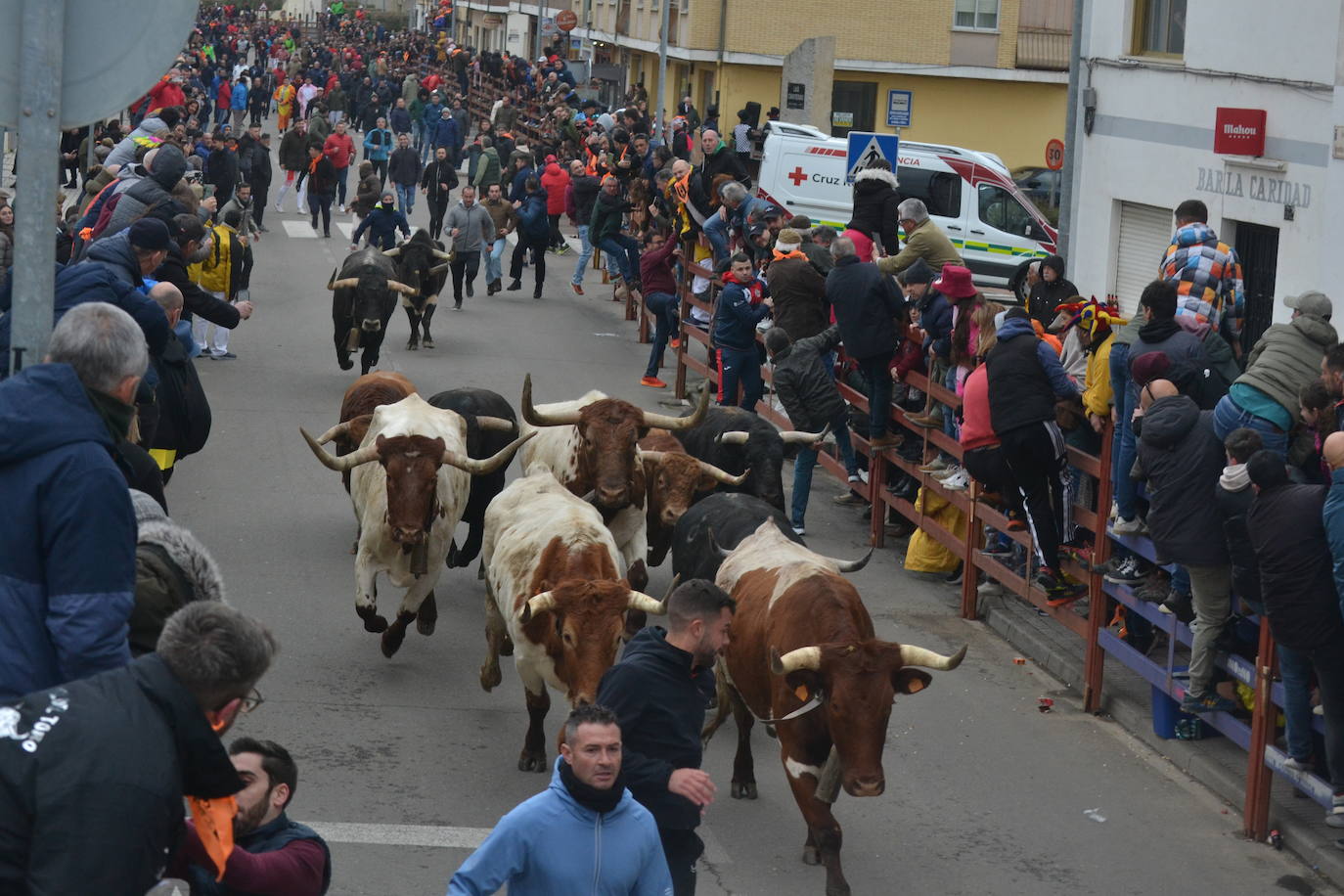 El primer encierro del Carnaval del Toro se salda con un corredor herido