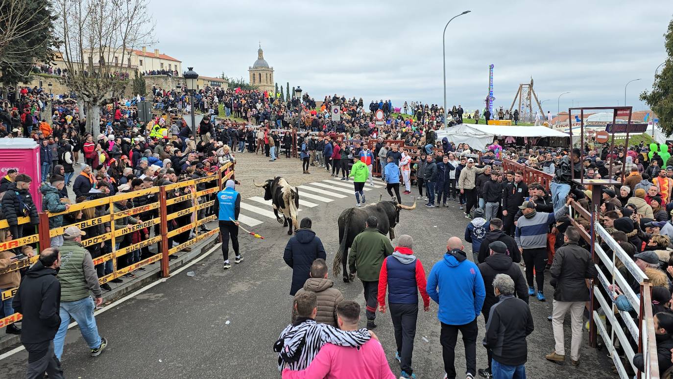 El primer encierro del Carnaval del Toro se salda con un corredor herido