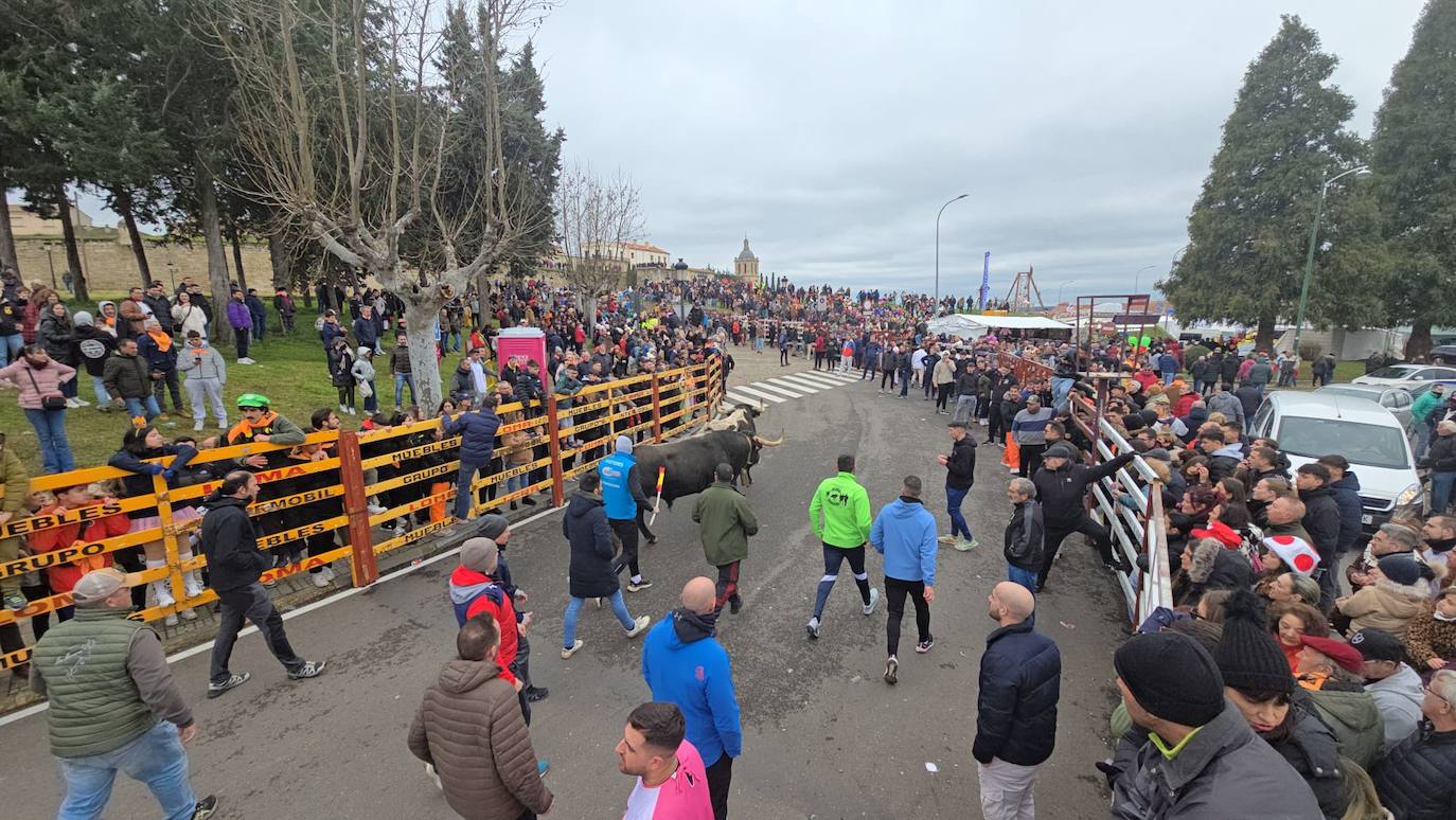 El primer encierro del Carnaval del Toro se salda con un corredor herido