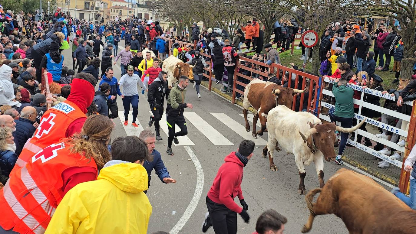 El primer encierro del Carnaval del Toro se salda con un corredor herido