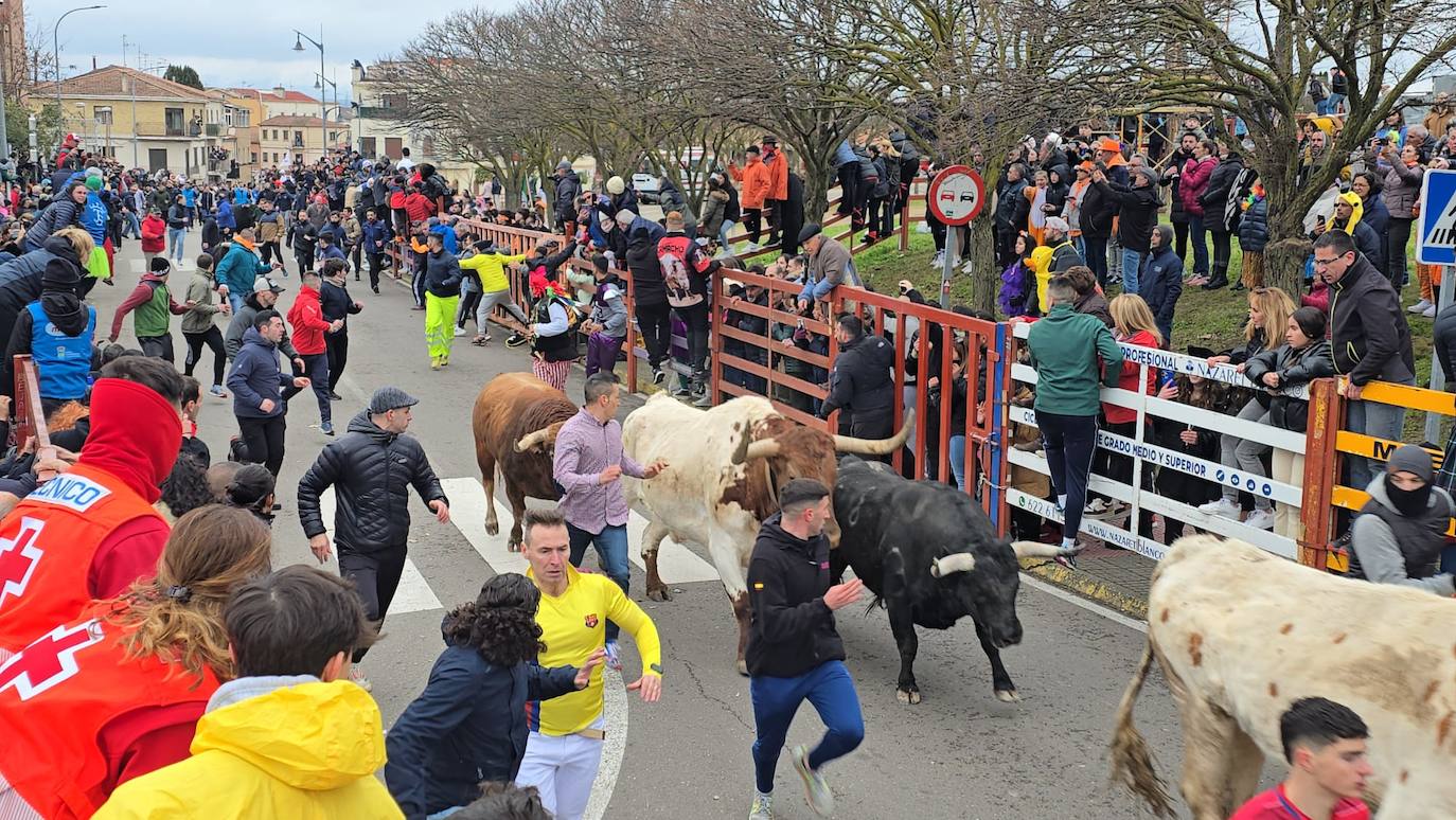 El primer encierro del Carnaval del Toro se salda con un corredor herido