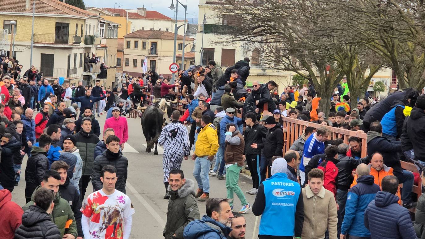 El primer encierro del Carnaval del Toro se salda con un corredor herido