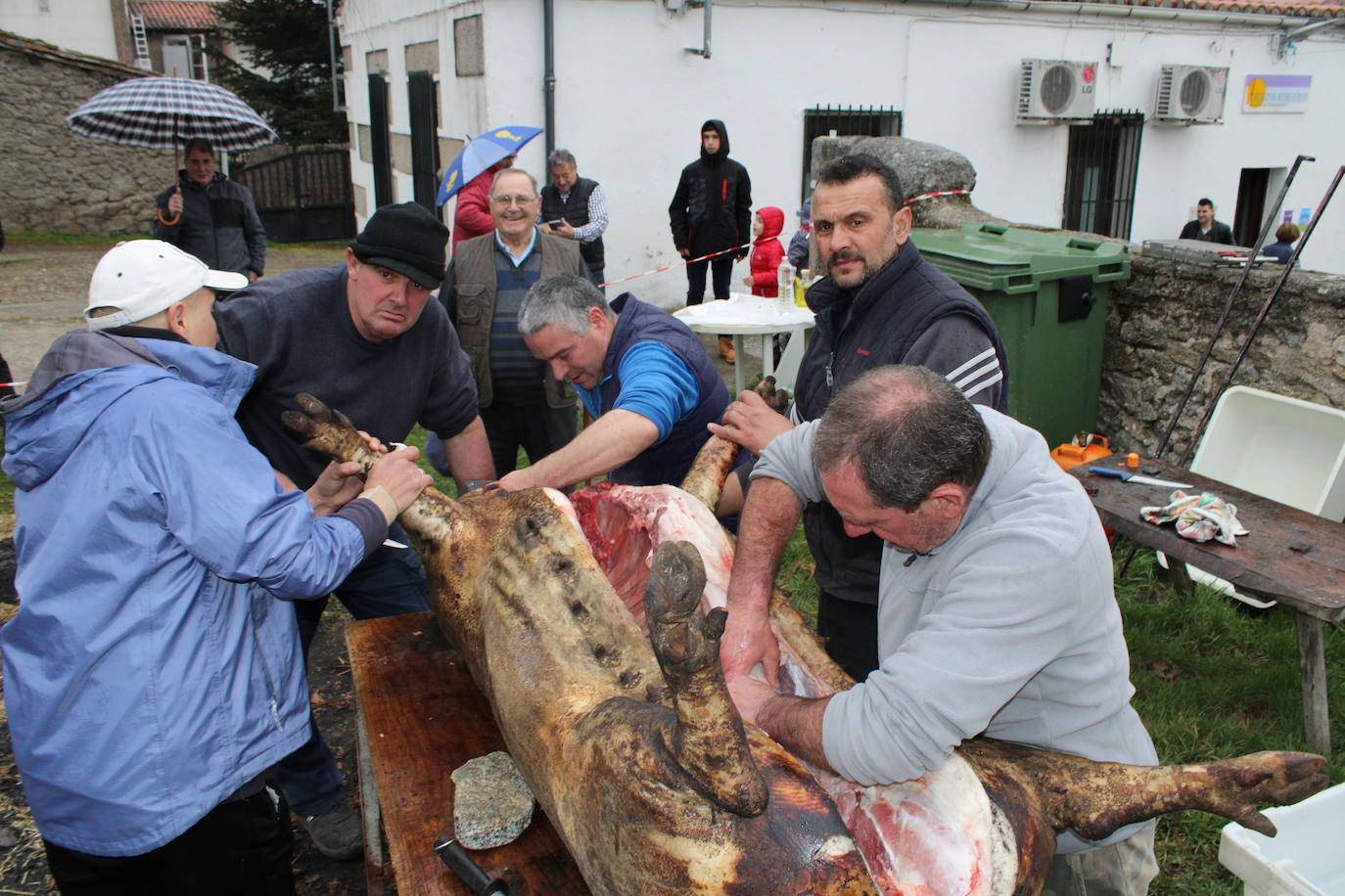 Horcajo de Montemayor se vuelca con su matanza popular