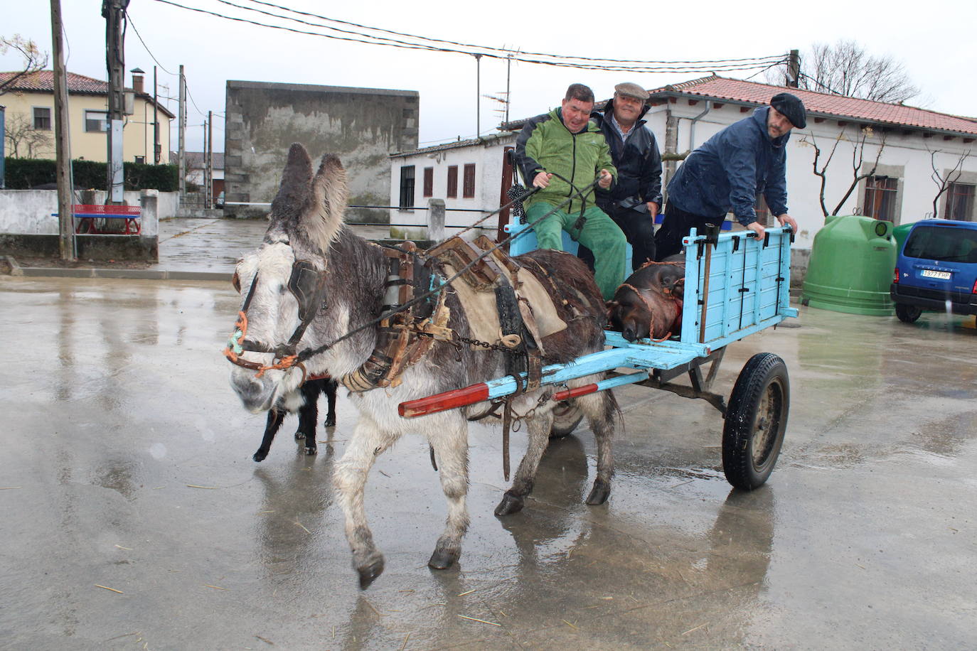 Peromingo disfruta de su fiesta matancera aún con lluvia