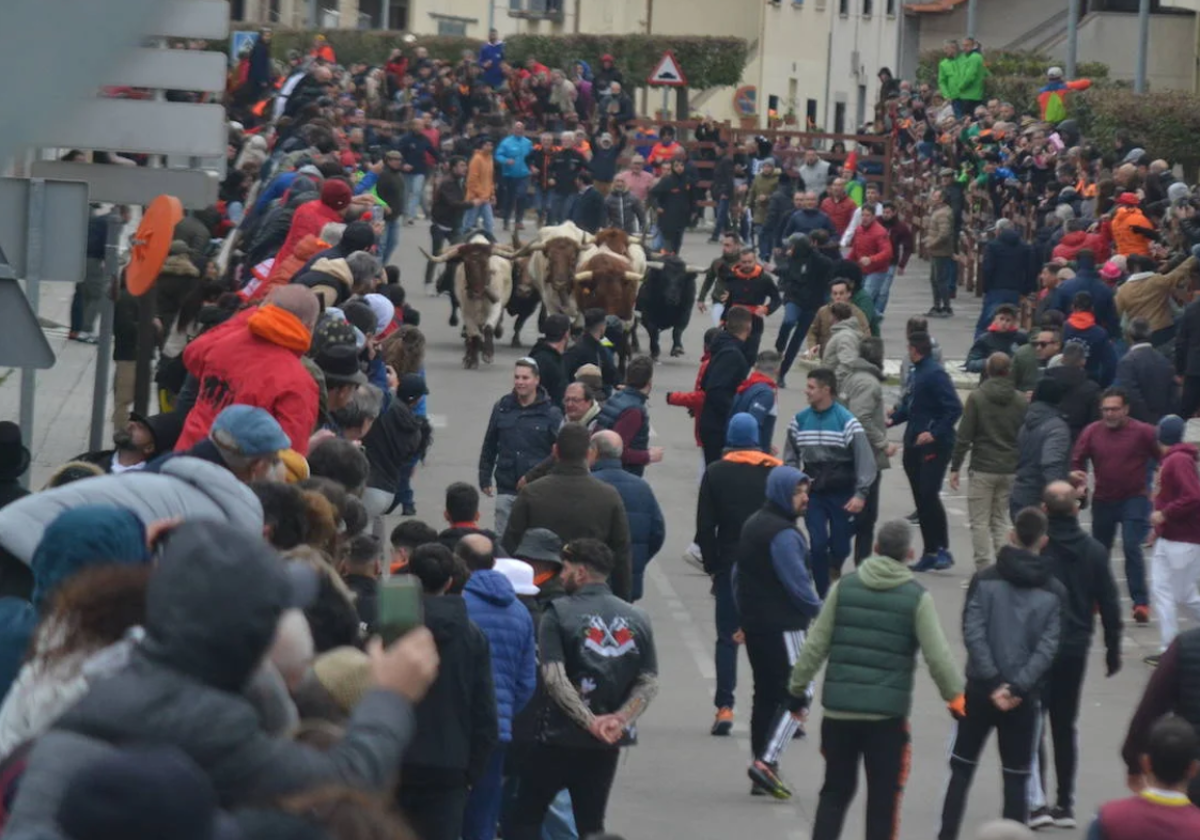 Imagen de la jornada de este sábado en el Carnaval del Toro.