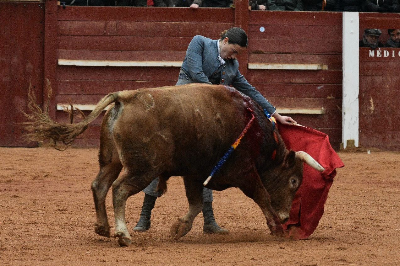 El primer festival taurino del Carnaval, en imágenes