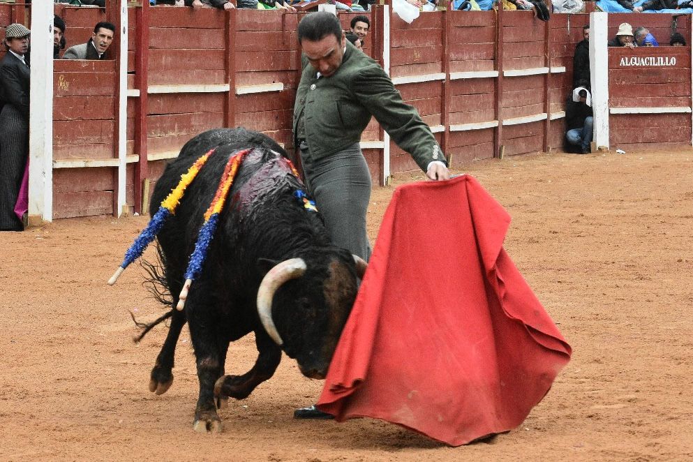 El primer festival taurino del Carnaval, en imágenes