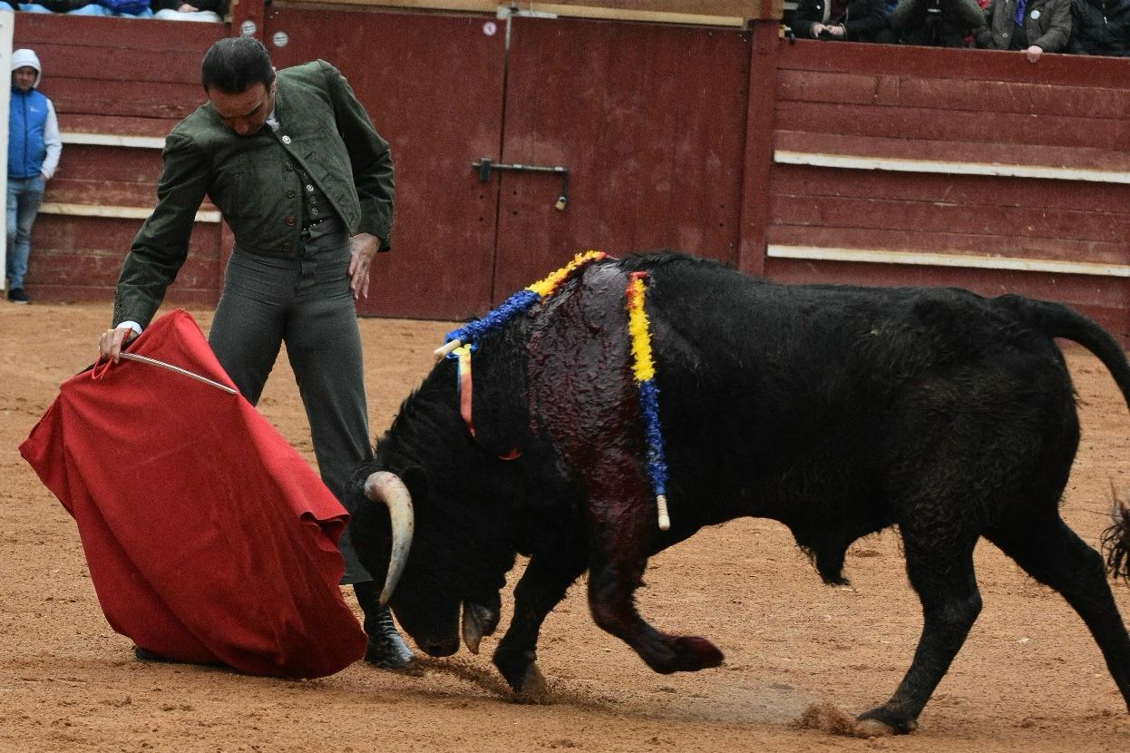 El primer festival taurino del Carnaval, en imágenes