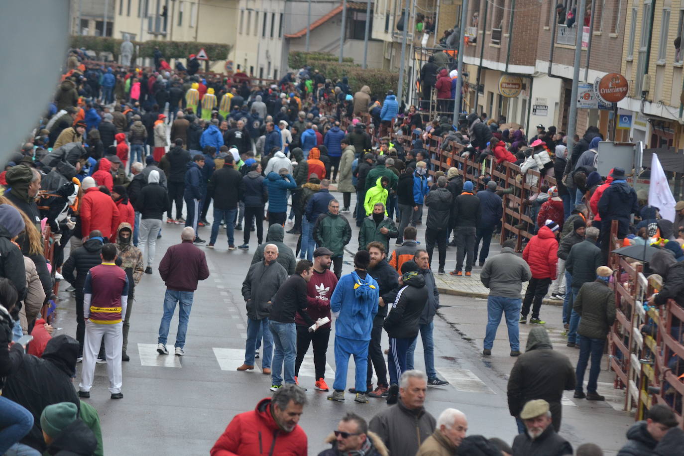 Tumultuoso encierro a caballo en el Carnaval del Toro de Ciudad Rodrigo